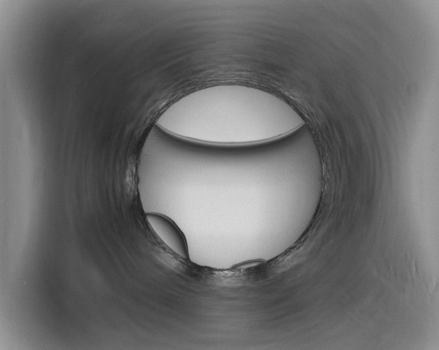 X0000116140240200911230938