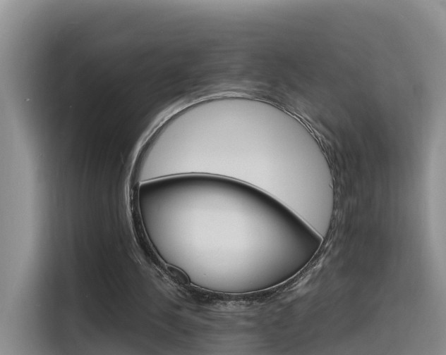 X0000116140244200911230937