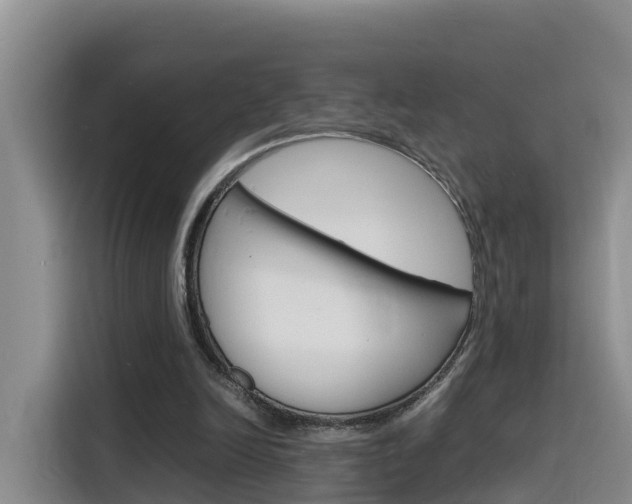 X0000116140246200911230937