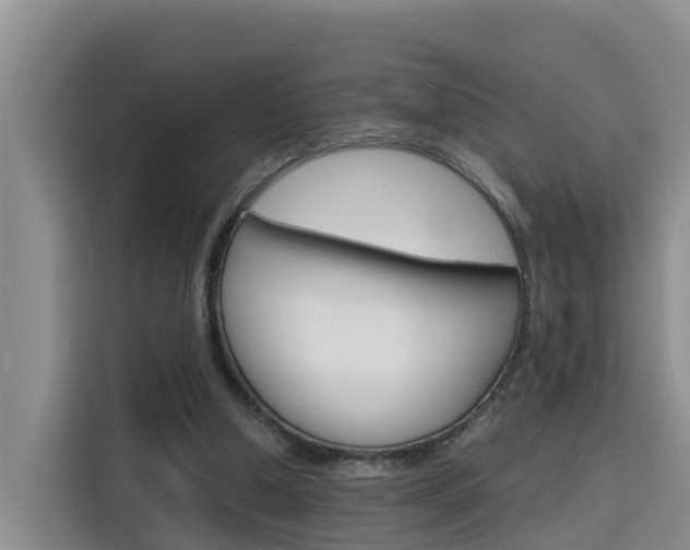 X0000116140250200911230937