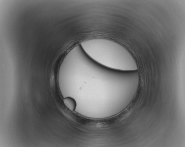 X0000116140254200911230937