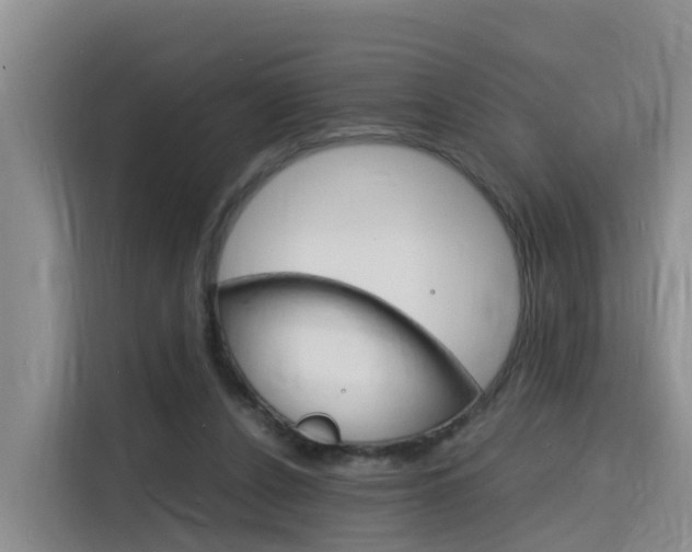 X0000116140256200911230937