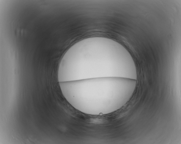 X0000116140259200911230937