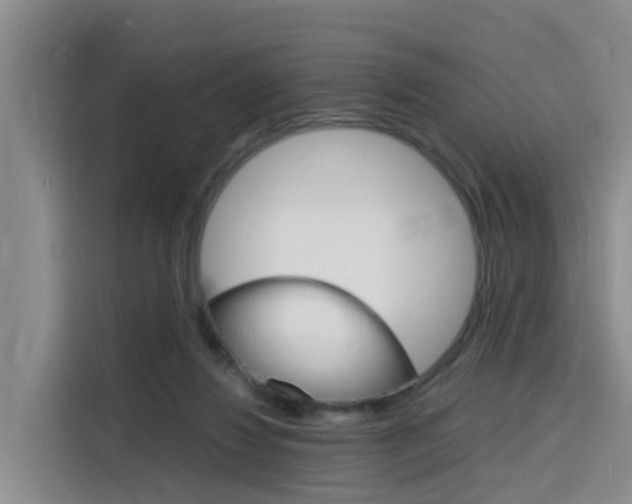 X0000116140260200911230937