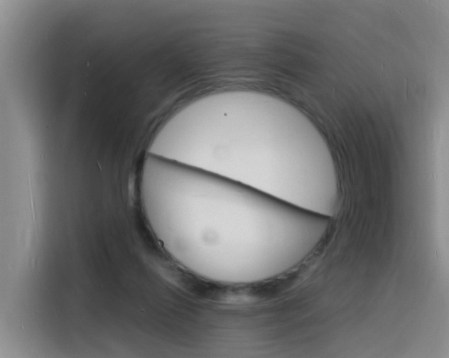 X0000116140262200911230937