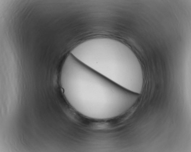 X0000116140266200911230937