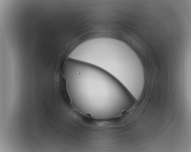 X0000116140268200911230937