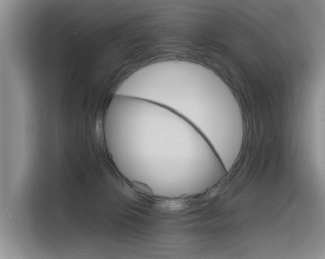 X0000116140276200911230937