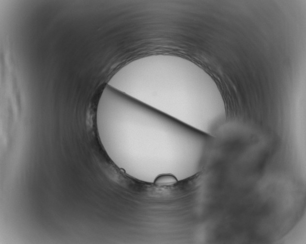 X0000116140282200911230938