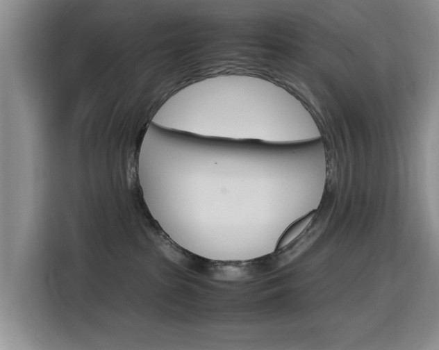 X0000116140285200911230938