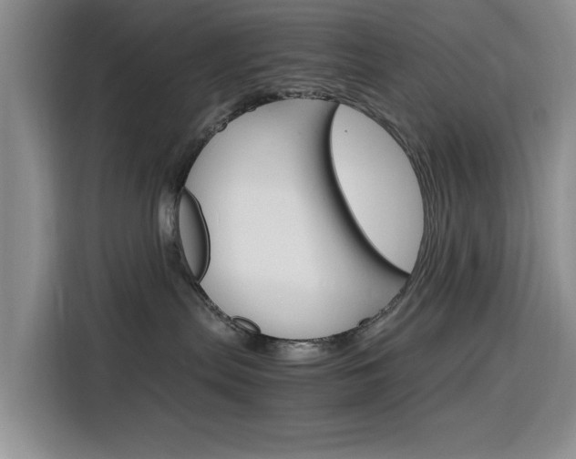 X0000116140287200911230938