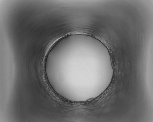 X0000116140289200911230937