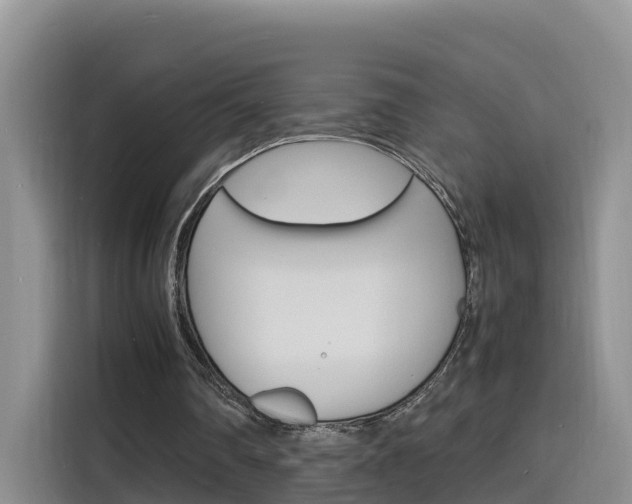 X0000116140290200911230937