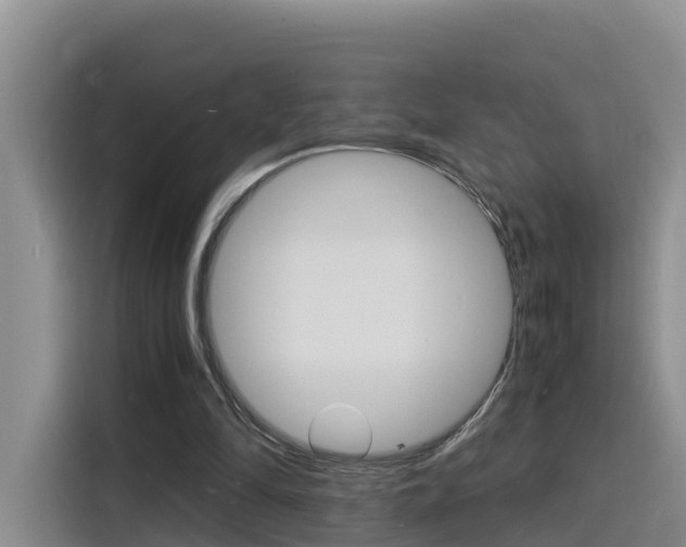 X0000116140294200911230937