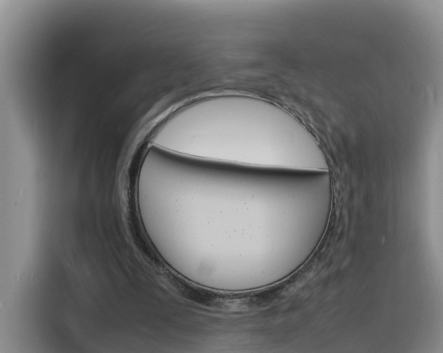X0000116140295200911230937