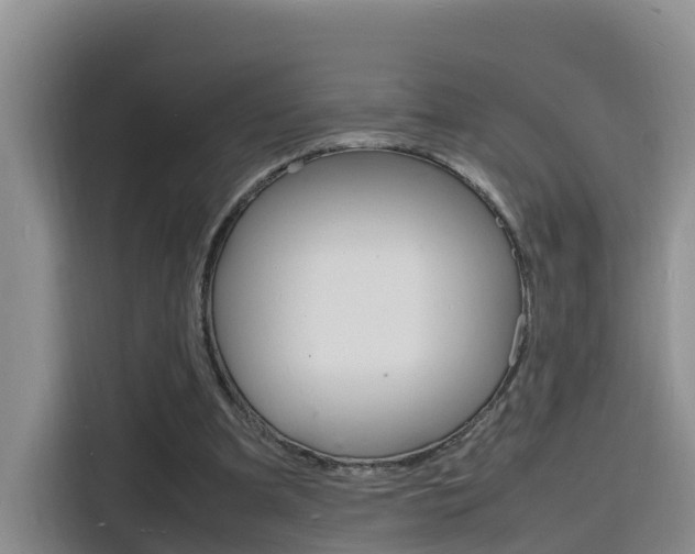 X0000116140297200911230937