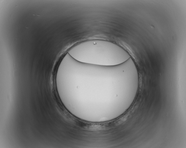 X0000116140298200911230937