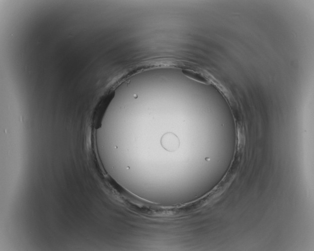 X0000116140301200911230937