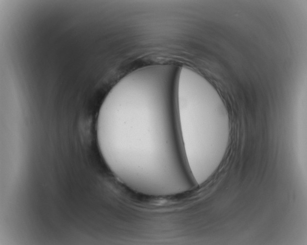 X0000116140319200911230937