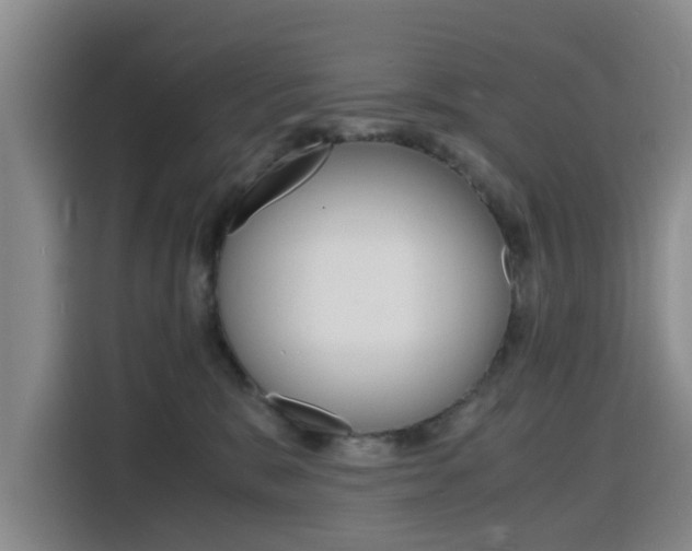 X0000116140327200911230937
