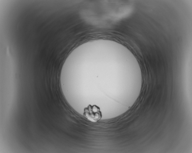 X0000116140328200911230937
