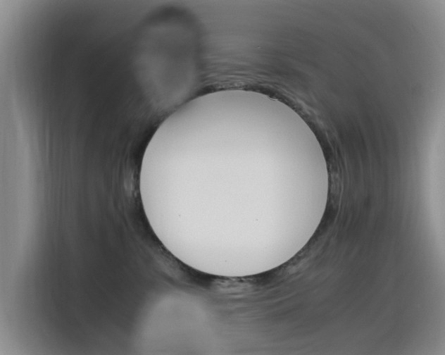 X0000116140331200911230936