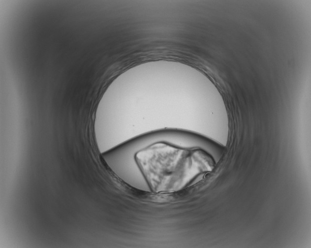 X0000116140333200911230936