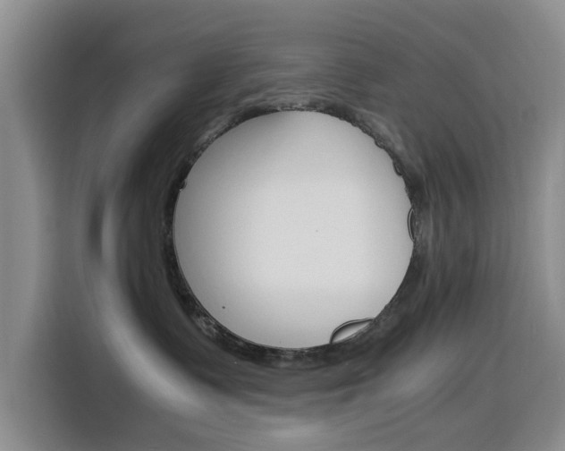 X0000116140335200911230936