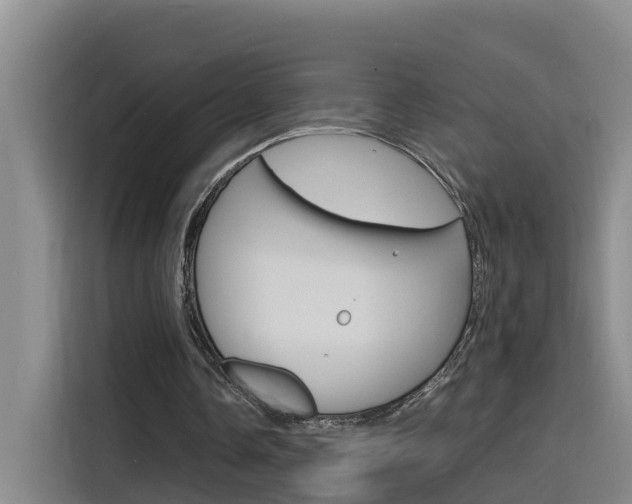 X0000116140338200911230936