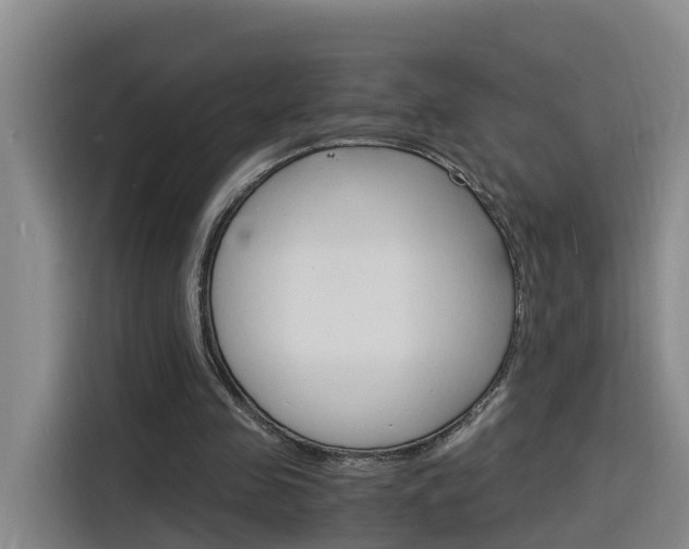 X0000116140341200911230936