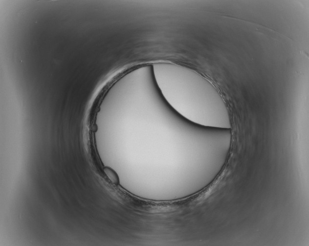 X0000116140342200911230936