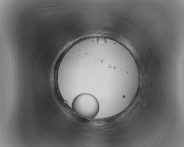 X0000116140346200911230936