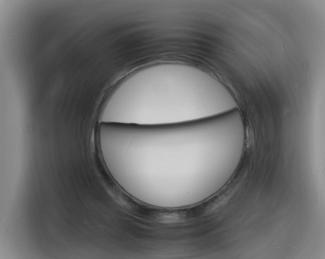 X0000116140349200911230936