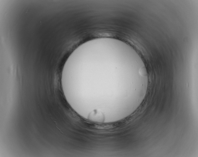 X0000116140359200911230936