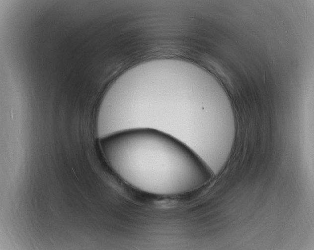 X0000116140362200911230936