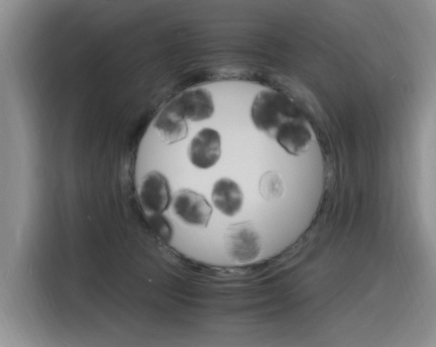 X0000116140369200911230936