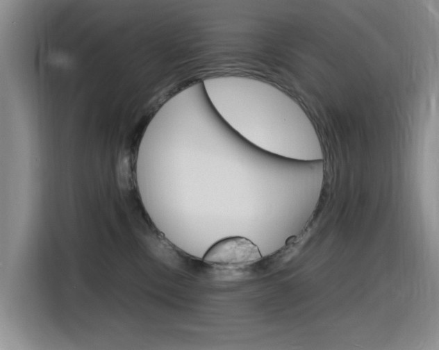 X0000116140378200911230936
