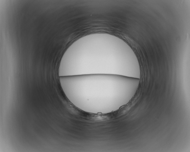 X0000116140379200911230936