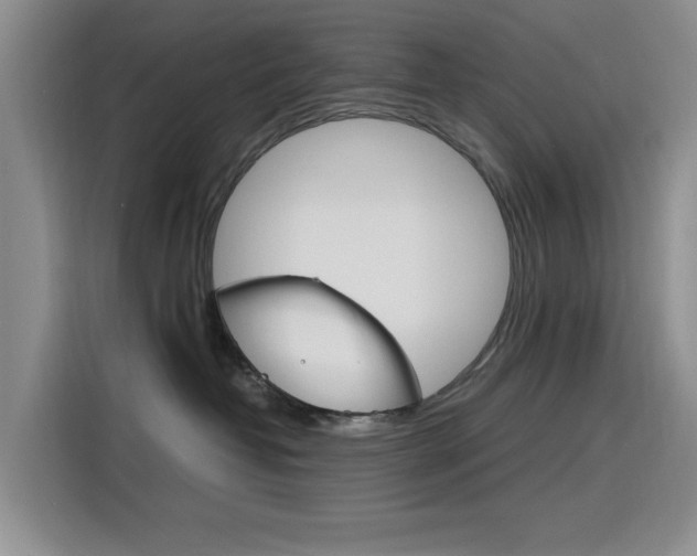 X0000116140382200911230936