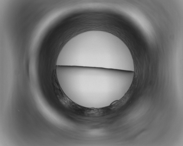 X0000116140383200911230936
