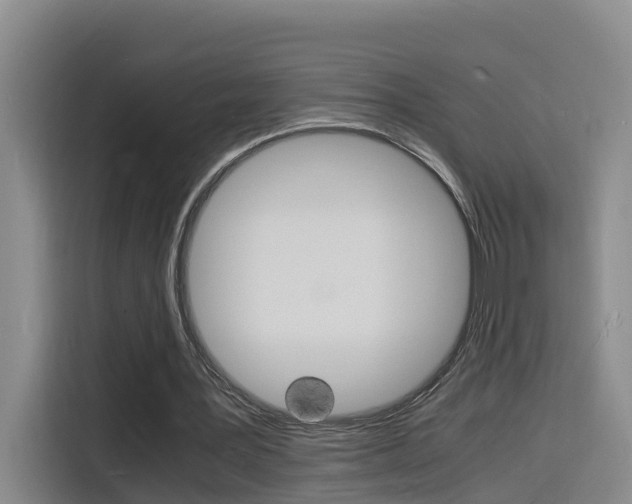 X0000116140387200911230936