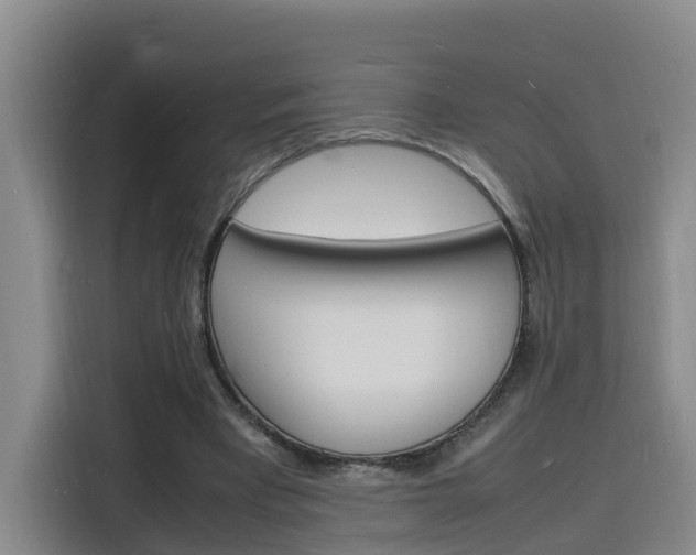 X0000116140393200911230936