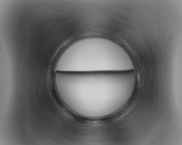 X0000116140396200911230936