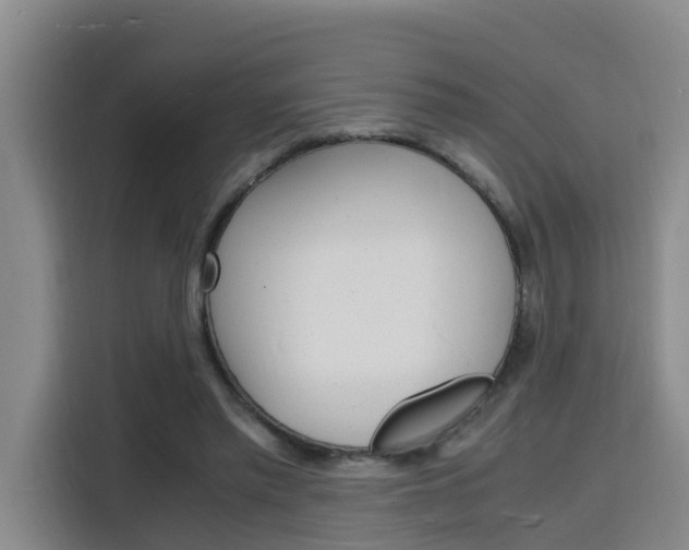 X0000116140397200911230936