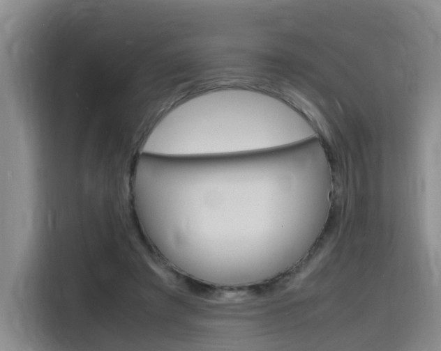 X0000116140401200911230936