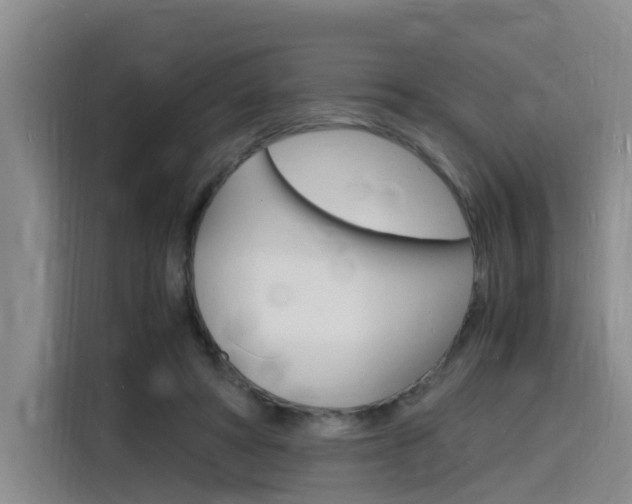X0000116140402200911230936