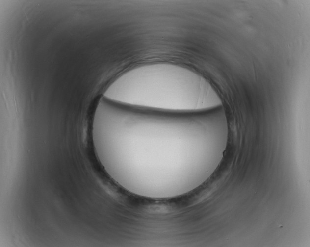 X0000116140404200911230936