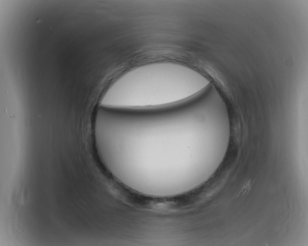 X0000116140407200911230935