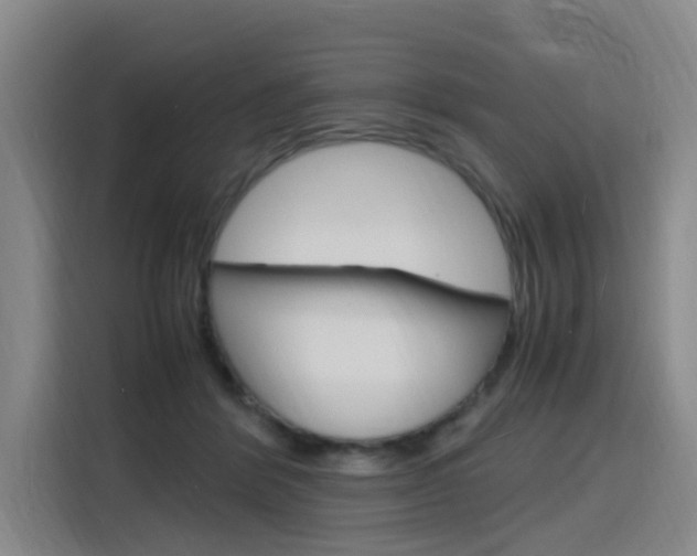 X0000116140412200911230935