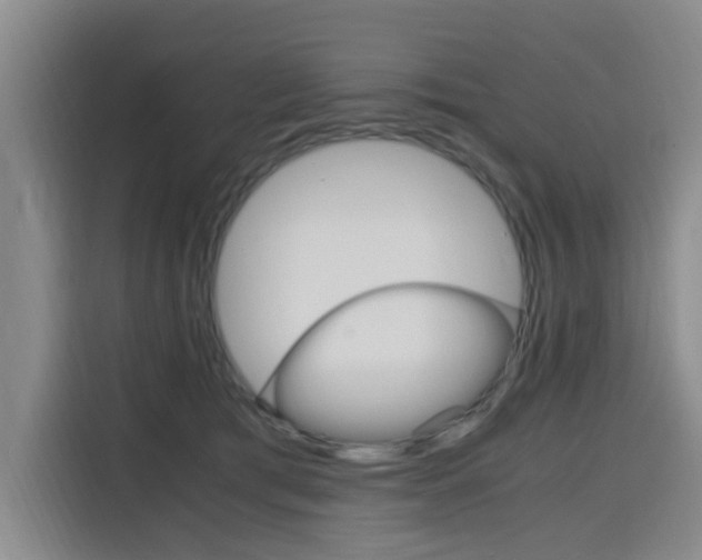 X0000116140417200911230935